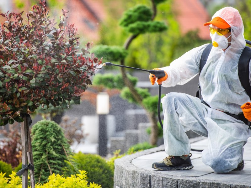 Şenkaya Haşere İlaçlama